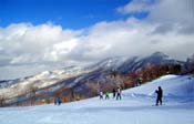 Skiing Shiga ski areas
